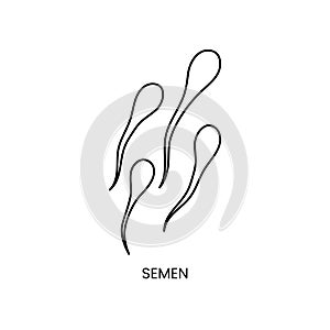 Seminal fluid of a man for laboratory analysis, an illustration of a sperm icon line in a vector. photo