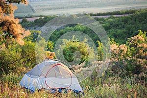 Semitransparent travel tent stands on green glade