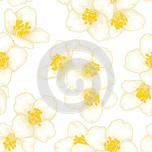 Semless pattern branch white flower jasmine with graphic watercolour style isolated on white background. Hand-draw branch flowers