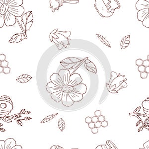 Semless pattern with cute contour flowers and hunny isolate on a white background