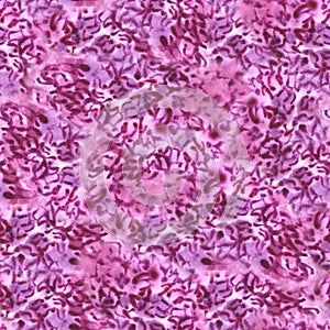 Semless pattern with pink flower blossom