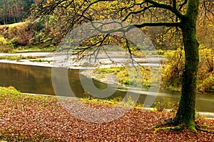 Semois river in autumn