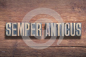 Semper anticus wood photo