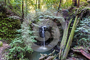 Sempervirens Falls in Big Basin Redwoods State Park, California