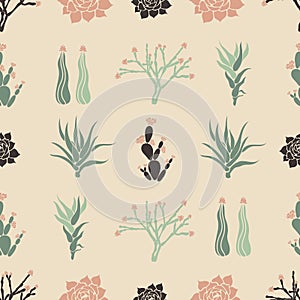 Sempervivum Haworthia Opuntia Hatiora. Seamless pattern with cacti, succulents.