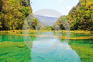 Semuc champey natural pool and .its turquoise waters from riverside