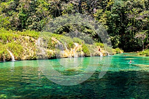 Semuc champey natural pool and .its turquoise waters from riverside