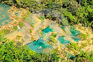 Semuc champey natural pools and forest scene from the heights of viewpoint