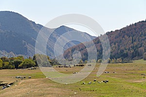 Semyonovskaya Gorge, Kyrgyzstan