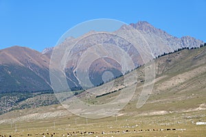 Semyonovskaya Gorge, Kyrgyzstan