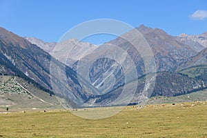 Semyonovskaya Gorge, Kyrgyzstan