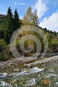 Semyonovskoe gorge landscape. Kyrgyzstan