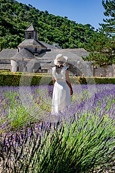 Senanque Abbey Gordes Provence Lavender fields Notre-Dame de Senanque, blooming purple blue lavender fields Luberon