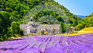 Senanque Abbey Gordes Provence Lavender fields Notre-Dame de Senanque, Luberon, France. Europe