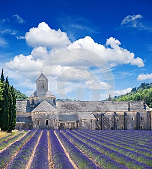 Senanque abbey with lavender field, landmark of Provence, Vaucluse photo