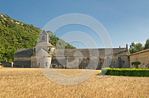 Senanque abbey, provence, france