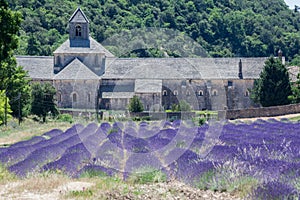 Senanque Abbey Provence France