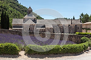 Senanque Abbey Provence France