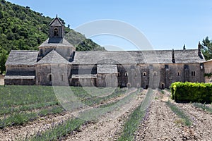 Senanque Abbey Provence France