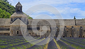 Senanque Abbey in Provence photo