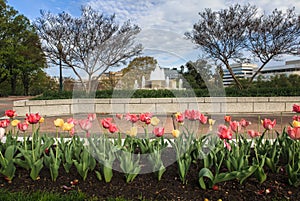 Senate Garden Washington DC