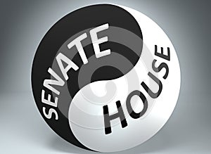 Senate and house in balance - pictured as words Senate, house and yin yang symbol, to show harmony between Senate and house, 3d