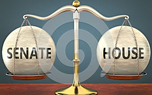 Senate and house staying in balance - pictured as a metal scale with weights and labels senate and house to symbolize balance and