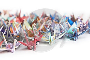 Senbazuru (A Thousand Cranes)