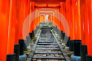 Senbon Torii at Fushimi Inari Shrine. photo
