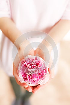 Send carnations on Mother`s Day
