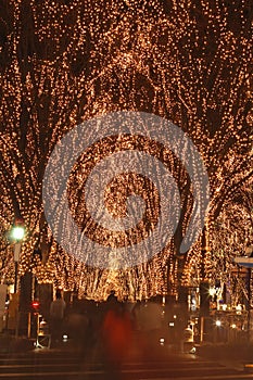 Sendai December illumination festival