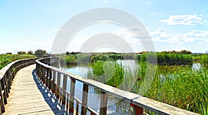 Senderismo en el Parque Nacional de las Tablas de Daimiel, provincia de Ciudad Real, Castilla la Mancha, EspaÃ±a