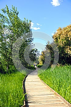 Senderismo en el Parque Nacional de las Tablas de Daimiel, provincia de Ciudad Real, Castilla la Mancha, EspaÃ±a