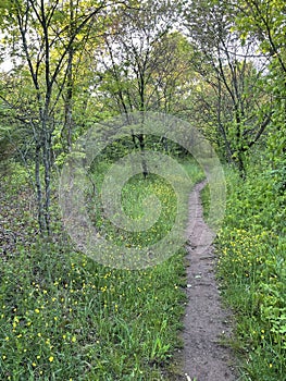 Seneca Creek Greenway Trail in Maryland