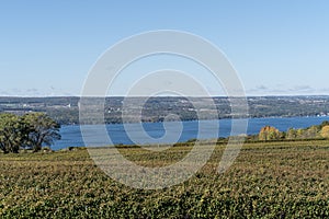 Seneca Lake Vineyard in Finger Lakes Region, New York