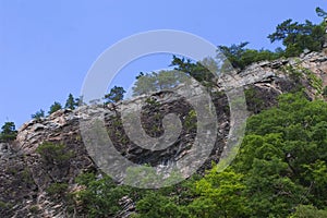 Seneca - Rocky Mountain Ridge photo