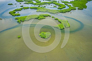 Senegal Mangroves. Aerial view of mangrove forest in the  Saloum Delta National Park, Joal Fadiout, Senegal. Photo made by drone photo