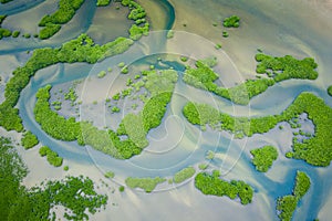 Senegal Mangroves. Aerial view of mangrove forest in the  Saloum Delta National Park, Joal Fadiout, Senegal. Photo made by drone photo