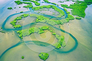 Senegal Mangroves. Aerial view of mangrove forest in the  Saloum Delta National Park, Joal Fadiout, Senegal. Photo made by drone photo