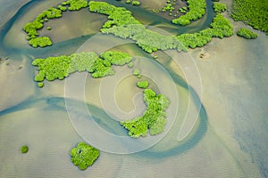 Senegal Mangroves. Aerial view of mangrove forest in the  Saloum Delta National Park, Joal Fadiout, Senegal. Photo made by drone photo