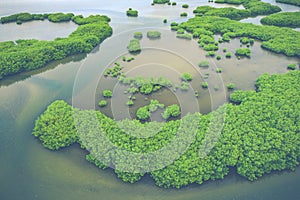 Senegal Mangroves. Aerial view of mangrove forest in the  Saloum Delta National Park, Joal Fadiout, Senegal. Photo made by drone photo