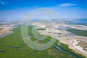 Senegal Mangroves. Aerial view of mangrove forest in the  Saloum Delta National Park, Joal Fadiout, Senegal. Photo made by drone photo