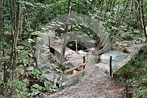 Senerchia - Secondo ponticello del sentiero sul torrente Acquabianca photo