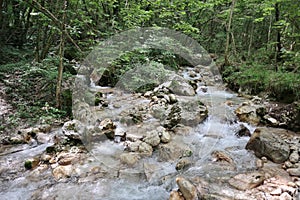 Senerchia - Torrente Acquabianca dal secondo ponticello del sentiero photo