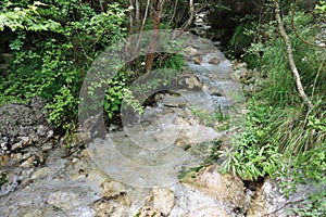 Senerchia - Torrente Acquabianca dal terzo ponticello del sentiero photo