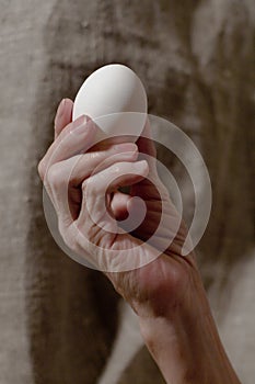 Senile hand holds a white chicken egg
