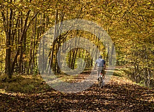 Senior adult man cycles on leaf covered trail