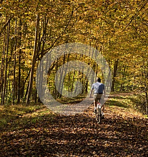 Senior adult man cycles on leaf covered trail