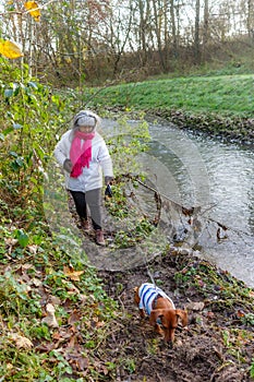 Senior adult woman walking on bank of stream with her dachshund on muddy ground