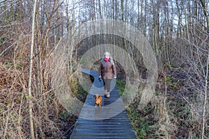 Senior adult woman walking with her dachshund on wooden path in muddy terrain